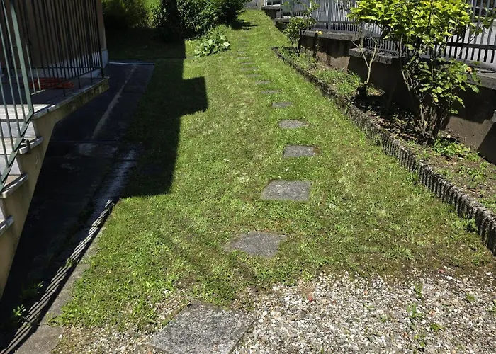 Revival - Ixihome 베소쪼